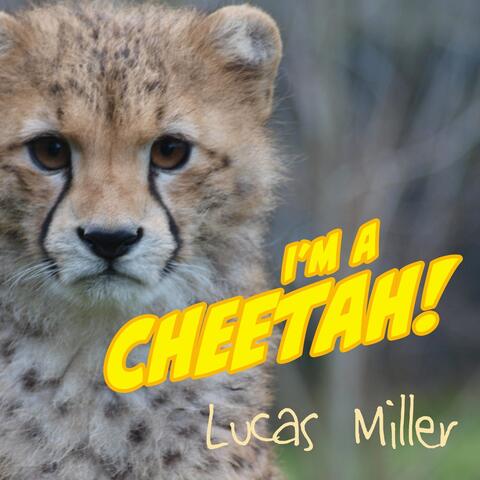I'm a Cheetah