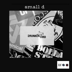Small D (Acoustic Demo)