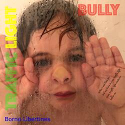 Traffic Light Bully