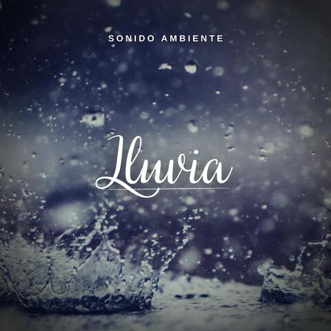 Sonido Ambiente: Lluvia