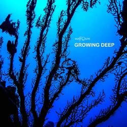 Growing Deep