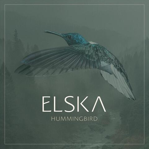Hummingbird