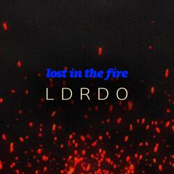 Lost In The Fire