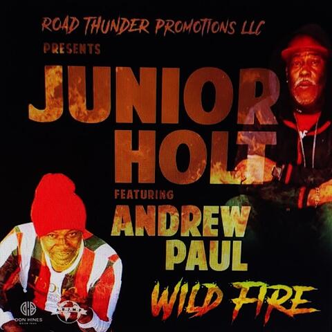 Wild Fire (feat. Andrew Paul)