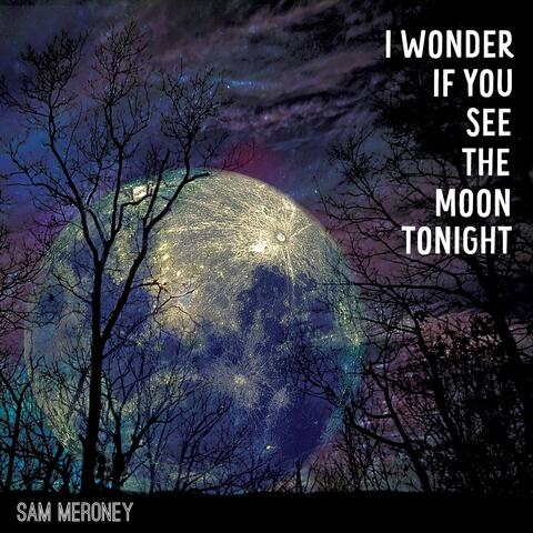 I Wonder If You See the Moon Tonight
