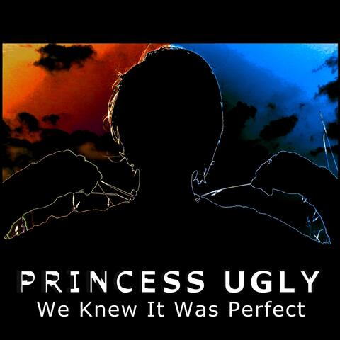 We Knew It Was Perfect