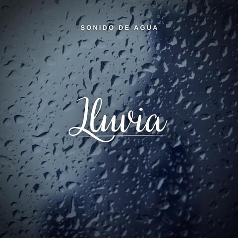 Sonido de Agua: Lluvia