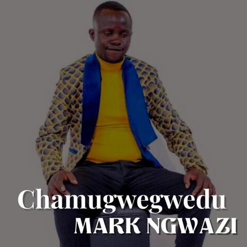 Chamugwegwedu