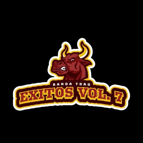 Exitos, Vol. 7
