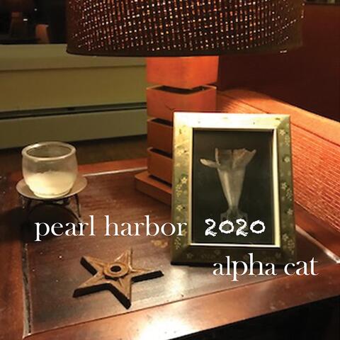 Pearl Harbor 2020