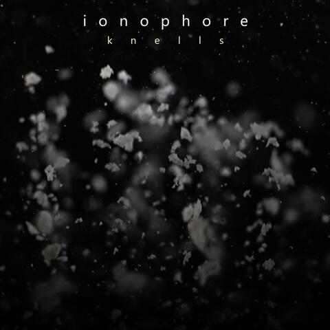 Ionophore