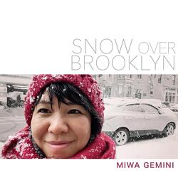 Snow over Brooklyn