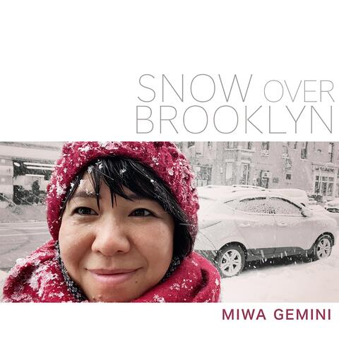 Snow over Brooklyn