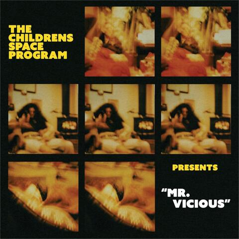 Mr. Vicious