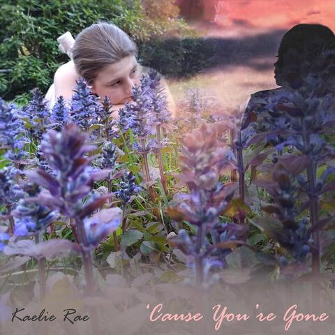'Cause You're Gone