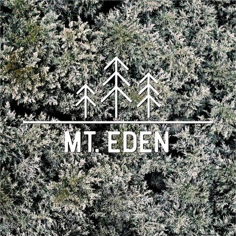 Mt. Eden