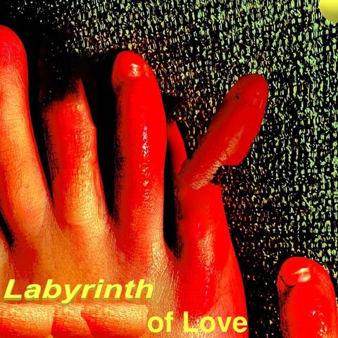 Labyrinth of Love