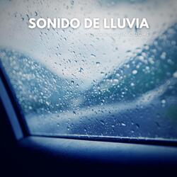 Sonido de Lluvia Dentro de un Coche, Pt. 18