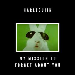 My Mission to Forget About You