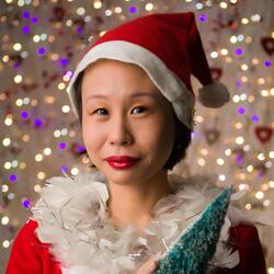 The Christmas Song