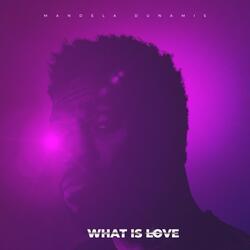What Is Love (feat. Chloe Youtsey Houston)