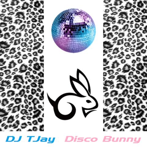 Disco Bunny