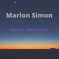 Pajarillo Alma Llanera