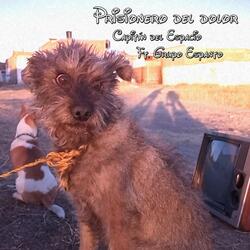 Prisionero del Dolor (feat. Grupo Espanto)