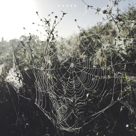 Cages