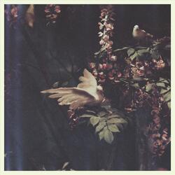 Oh! Darling - Take 4