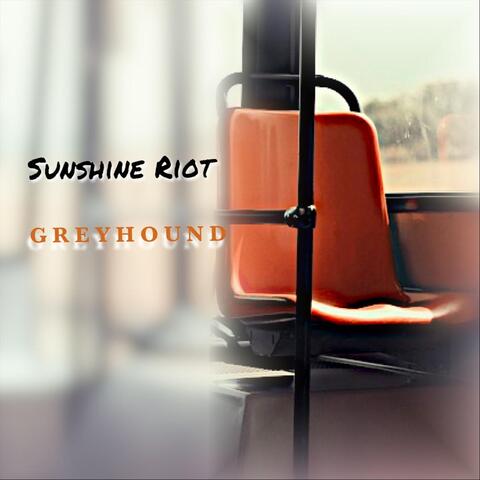 Greyhound