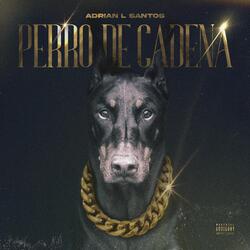 Perro De Cadena