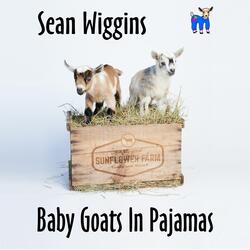 Baby Goats in Pajamas