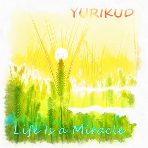 Life Is a Miracle