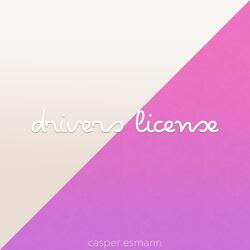 Drivers License