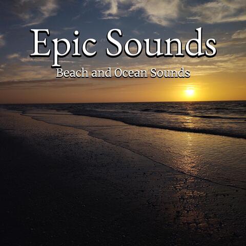 Beach and Ocean Sounds