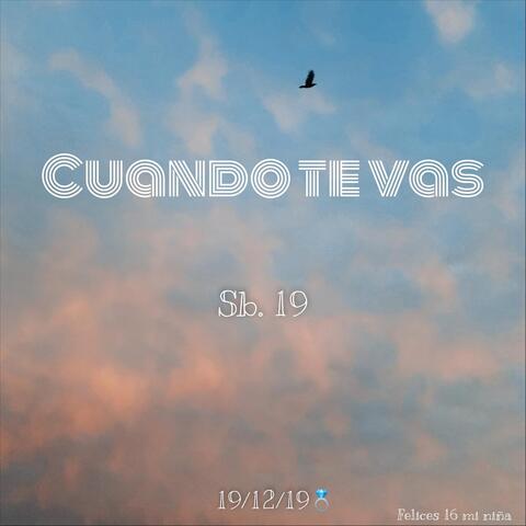 Cuando Te Vas