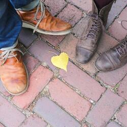 Can’t Help Falling in Love (feat. Eric Ross)