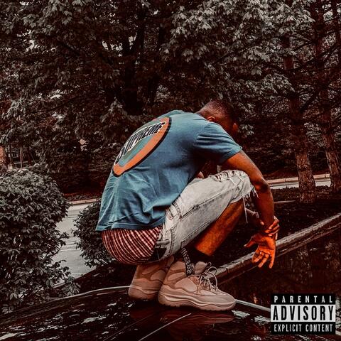 Jungle