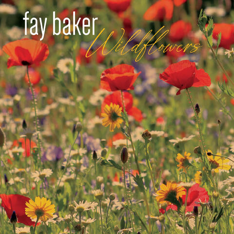 Wildflowers