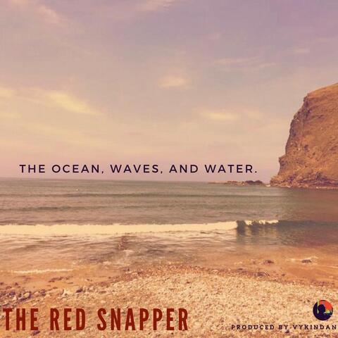 The Ocean, Waves, and Water