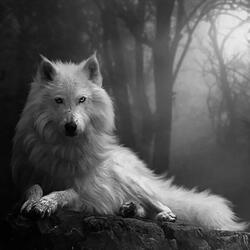 White Wolf Spirit
