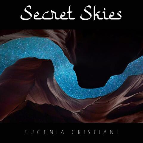 Secret Skies