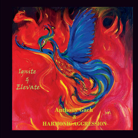 Ignite & Elevate