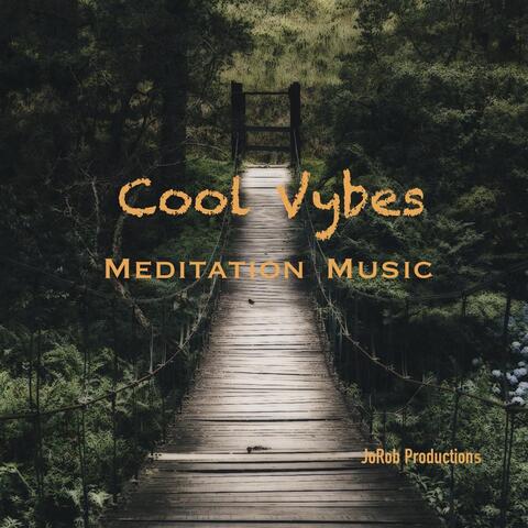 Cool Vybes