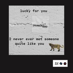 I Never Ever Met Someone Quite Like You (Acoustic Demo)