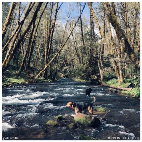 Dogs in the Creek