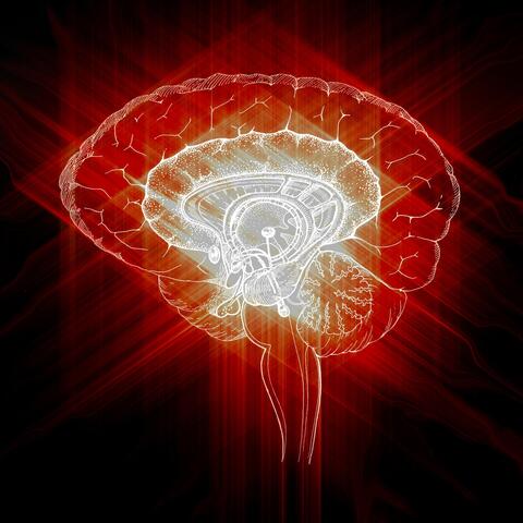 Aliencandy, Vol. 4: Universal Circuit