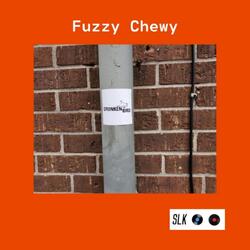 Fuzzy Chewy (Acoustic Demo)