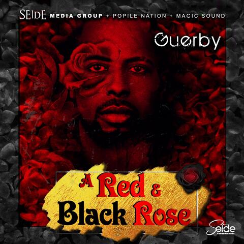 A Red & Black Rose